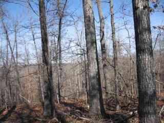 Music Hall Rd, Mammoth Spring, AR 72554 