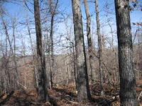 Music Hall Rd, Mammoth Spring, AR 72554 