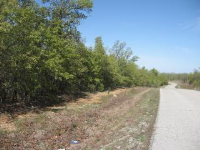 Wirth Rd, Mammoth Spring, AR 72554 