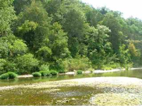 Hwy 14 Coats Rd, Mountain View, AR 72560 