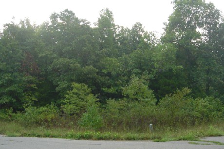 0000 Dogwood Valley Drive, Mountain View, AR 72560 