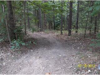 000 Cook road, Mountain View, AR 72560 