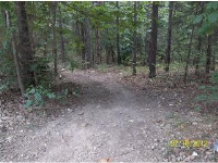 000 Cook road, Mountain View, AR 72560 