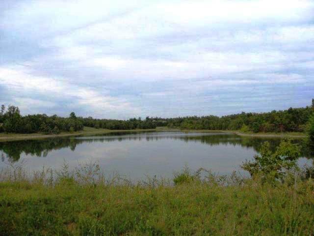 00 Hwy 62 East, Viola, AR 72583 