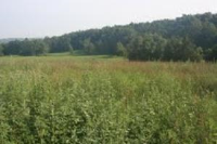 Tennyson Loop, Harrison, AR 72601 