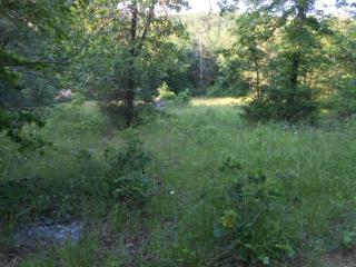 Zinc Cutoff Rd, Harrison, AR 72601 