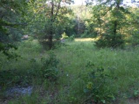 Zinc Cutoff Rd, Harrison, AR 72601 