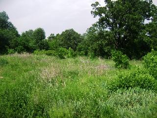 412/62 East/Tennyson Loop, Harrison, AR 72601 