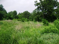 412/62 East/Tennyson Loop, Harrison, AR 72601 