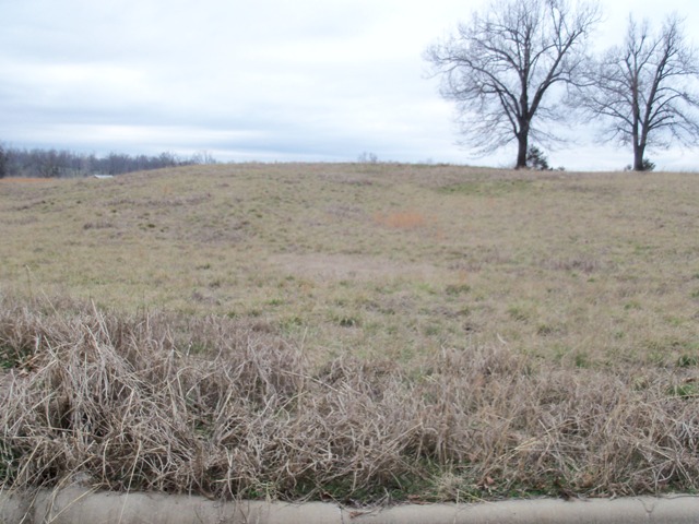 515 LaVista Circle, Harrison, AR 72601 