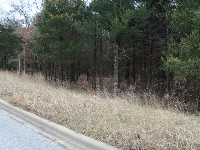 228 LaVista Circle, Harrison, AR 72601 