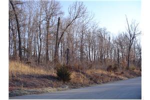 Lela Court, Harrison, AR 72601 