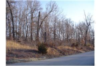 Lela Court, Harrison, AR 72601 