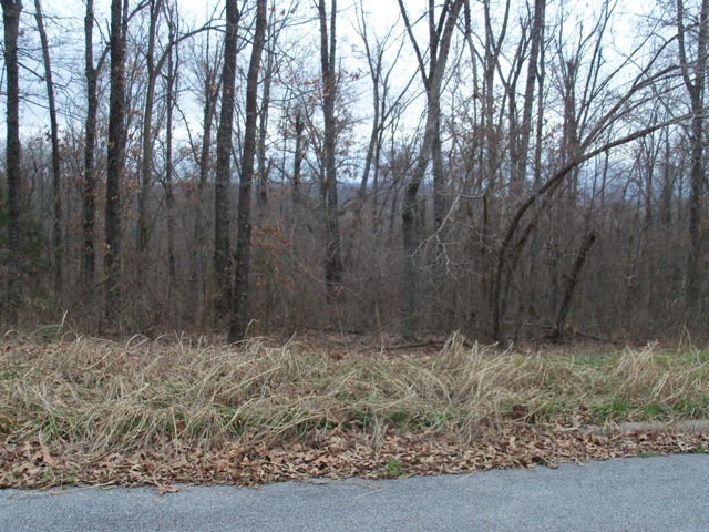 361 LaVista Circle, Harrison, AR 72601 