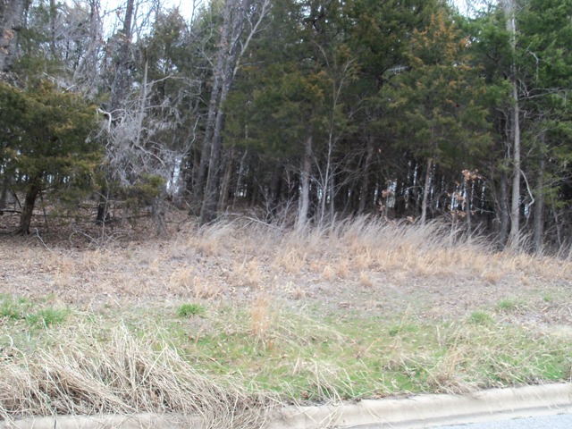 243 LaVista Circle, Harrison, AR 72601 