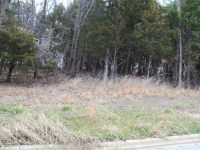 243 LaVista Circle, Harrison, AR 72601 