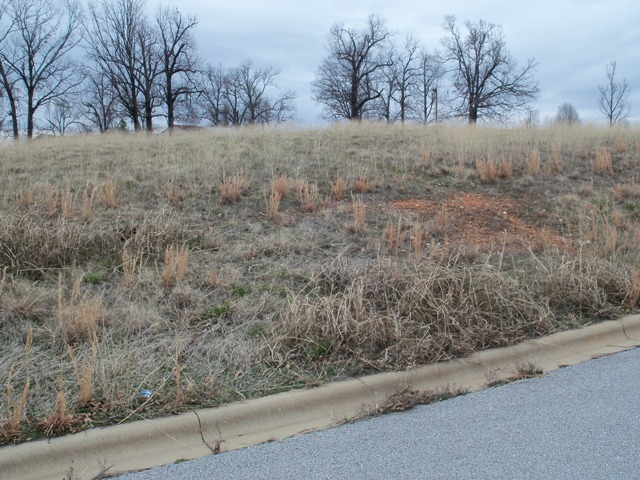 153 LaVista Circle, Harrison, AR 72601 