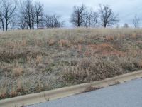 153 LaVista Circle, Harrison, AR 72601 