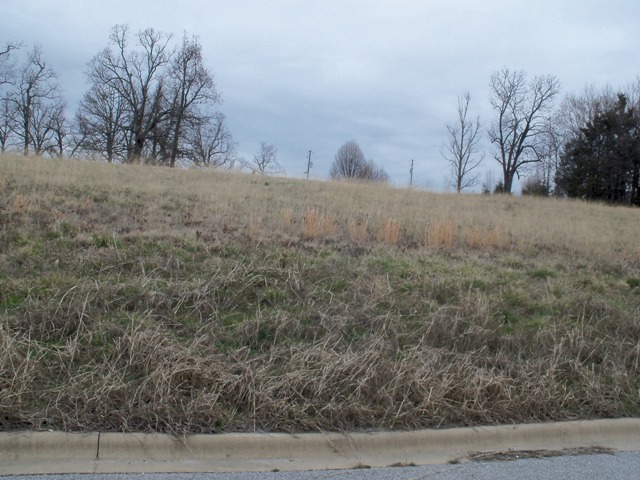 197 LaVista Circle, Harrison, AR 72601 