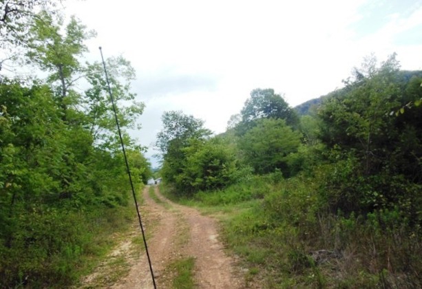 6102 CR 933, Alpena, AR 72611 