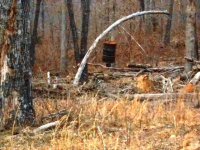 CR 905, Alpena, AR 72611 