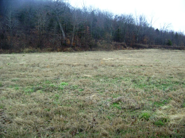 3513 CR 933, Alpena, AR 72611 