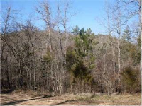 CR 501 30 acres, Berryville, AR 72616 