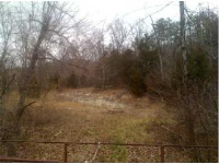 CR 533 20 acres, Berryville, AR 72616 