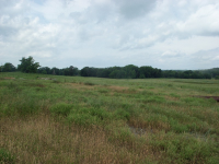 Ray Rd., Clarksville, AR 72830 