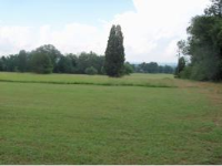 Poplar St. &amp; PR 2488, Clarksville, AR 72830 