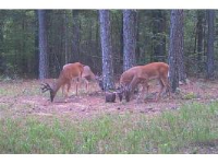 7344 Hwy 21, Clarksville, AR 72830 