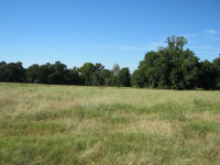 Off Hwy 103, Clarksville, AR 72830 