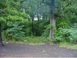 Johnson 2348 Rd CR 2348, Clarksville, AR 72830 