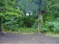 Johnson 2348 Rd CR 2348, Clarksville, AR 72830 