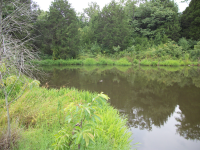 27 acres M/L County Road 3436, Clarksville, AR 72830 