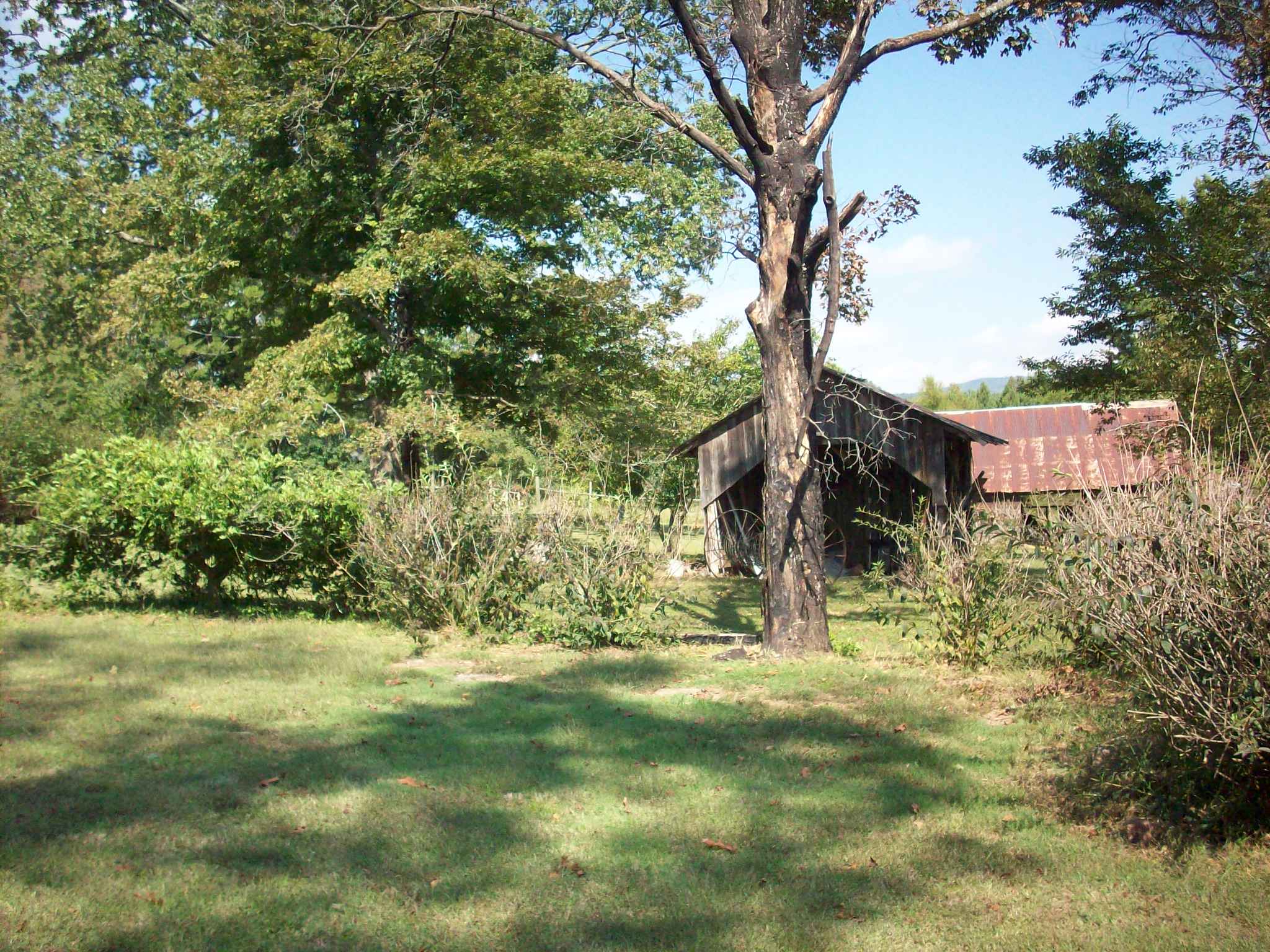 1135 CR 4451, Clarksville, AR 72830 