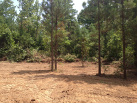 CR 3190, Clarksville, AR 72830 