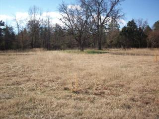 Lot #10, Rock Wall Heights, Clarksville, AR 72830 