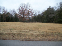Lot 1 Rockwall Heights, Clarksville, AR 72830 