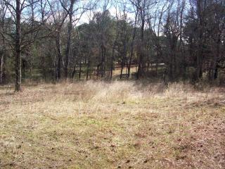 Lot #13, Rock Wall Heights, Clarksville, AR 72830 