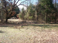Lot #11, Rock Wall Heights, Clarksville, AR 72830 