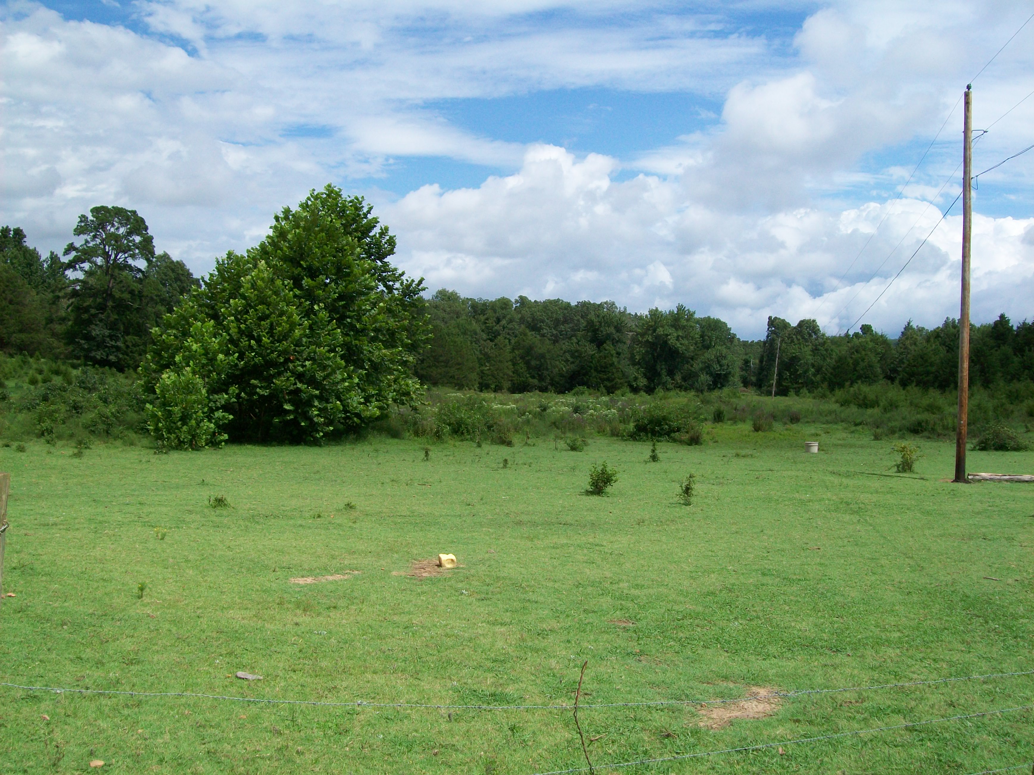 CR 3251, Clarksville, 72830, Clarksville, AR 72830 