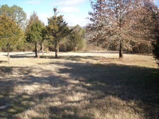 Lot #23, Rock Wall Heights, Clarksville, AR 72830 