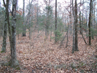 15 Acres M/L on CR 3541, Clarksville, AR 72830 