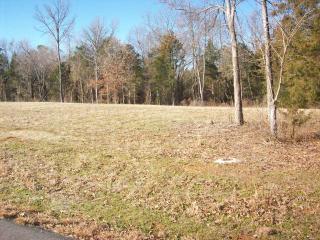 Lot #6, Rock Wall Heights, Clarksville, AR 72830 