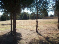 Lot #21, Rock Wall Heights, Clarksville, AR 72830 