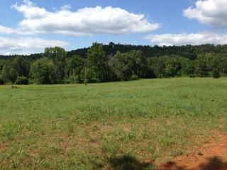 PR 3566, Clarksville, AR 72830 