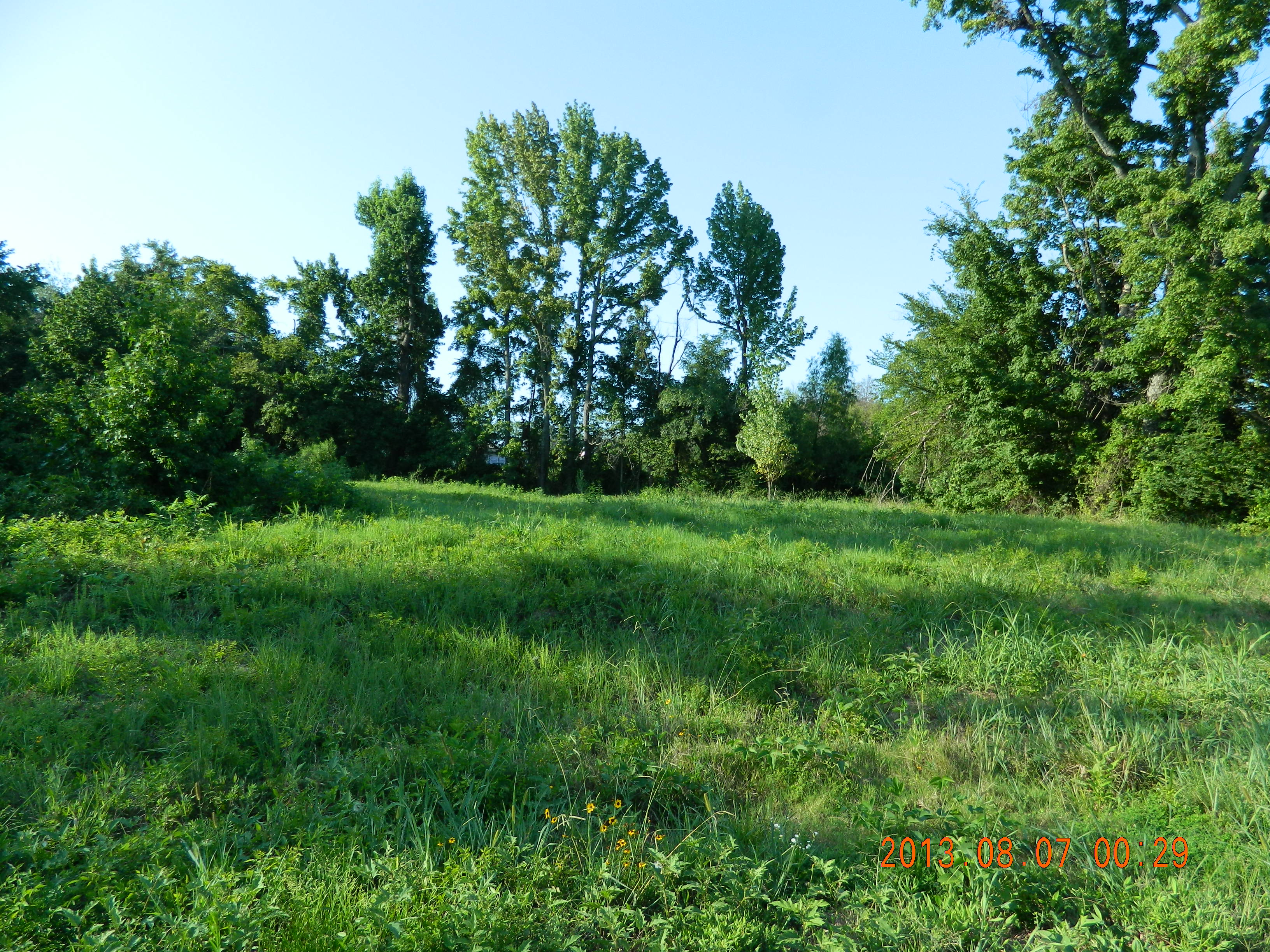 Lot #5 Caddo springs Rd., Clarksville, AR 72830 