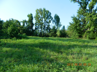 Lot #5 Caddo springs Rd., Clarksville, AR 72830 