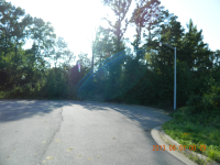 Lot B Caddo springs Rd., Clarksville, AR 72830 